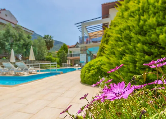 Appartement Number 8 Olivia